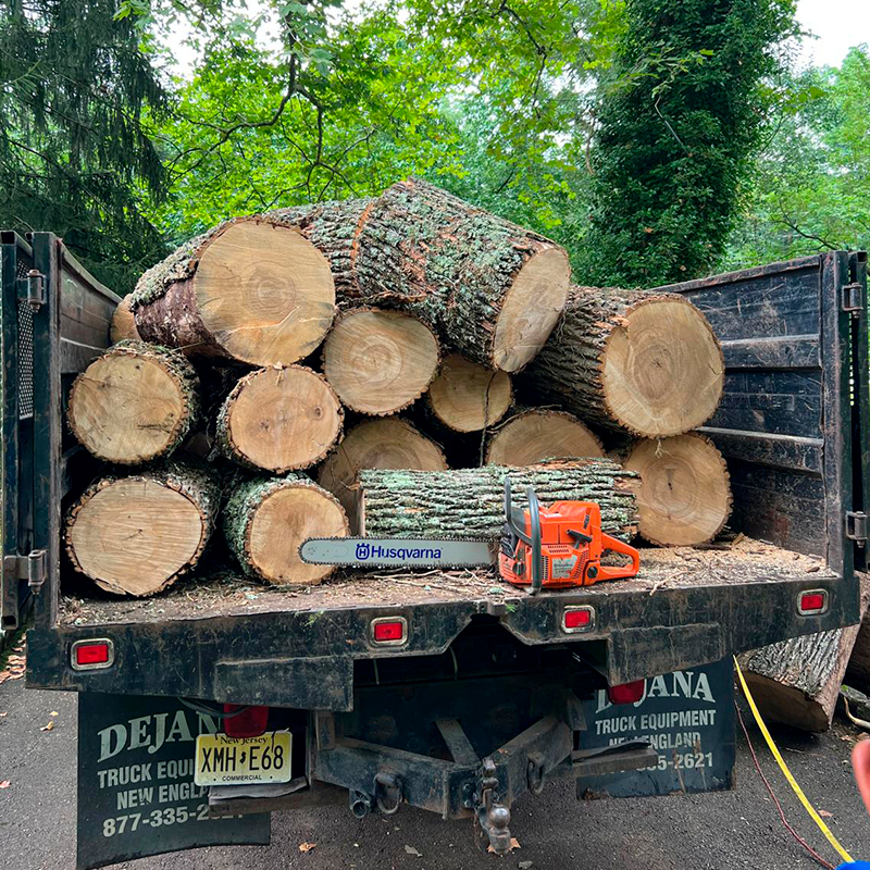 Tree Removal and Landscaping Services