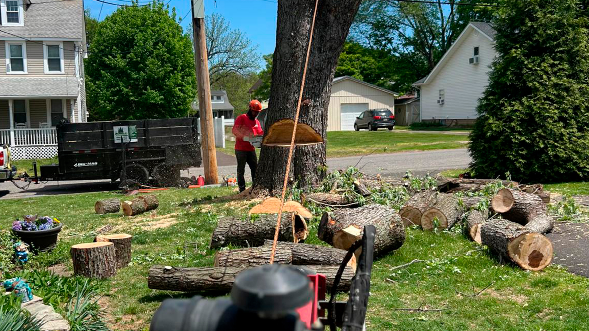 Tree Removal Service NJ