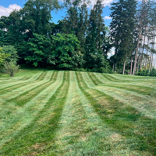 Fencing and Landscape Design